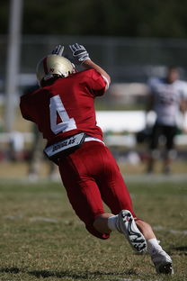 沃尔夫斯堡队球员组织公益慈善活动