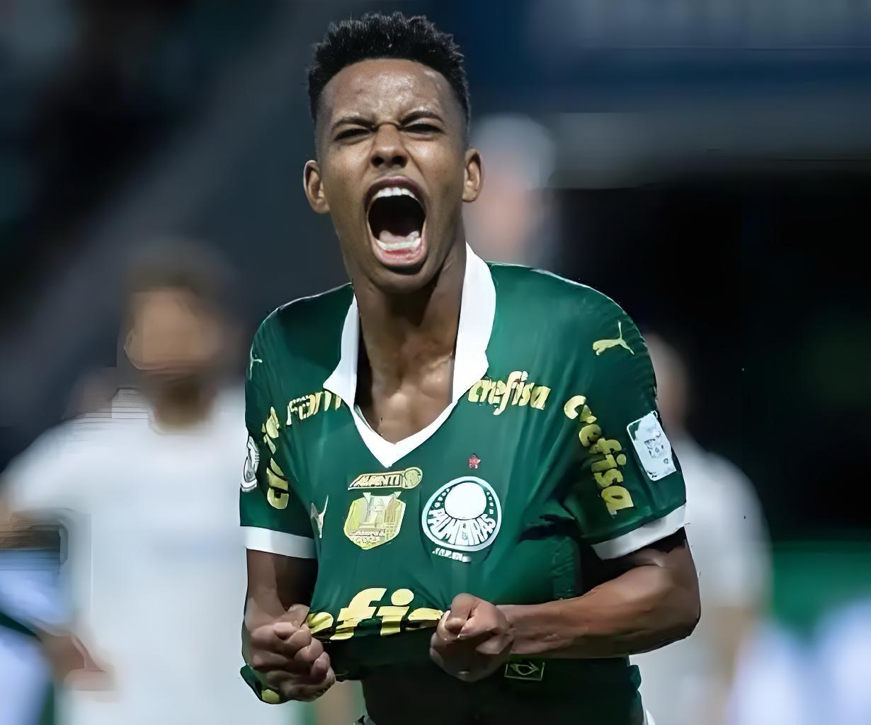 关于巴西甲级联赛:帕尔梅拉斯VS维多利亚赛事前瞻!的信息 第2张