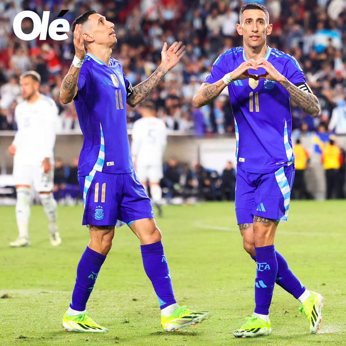 5-1！3-0！阿根廷双星闪耀欧冠：小蜘蛛造3球，的简单介绍