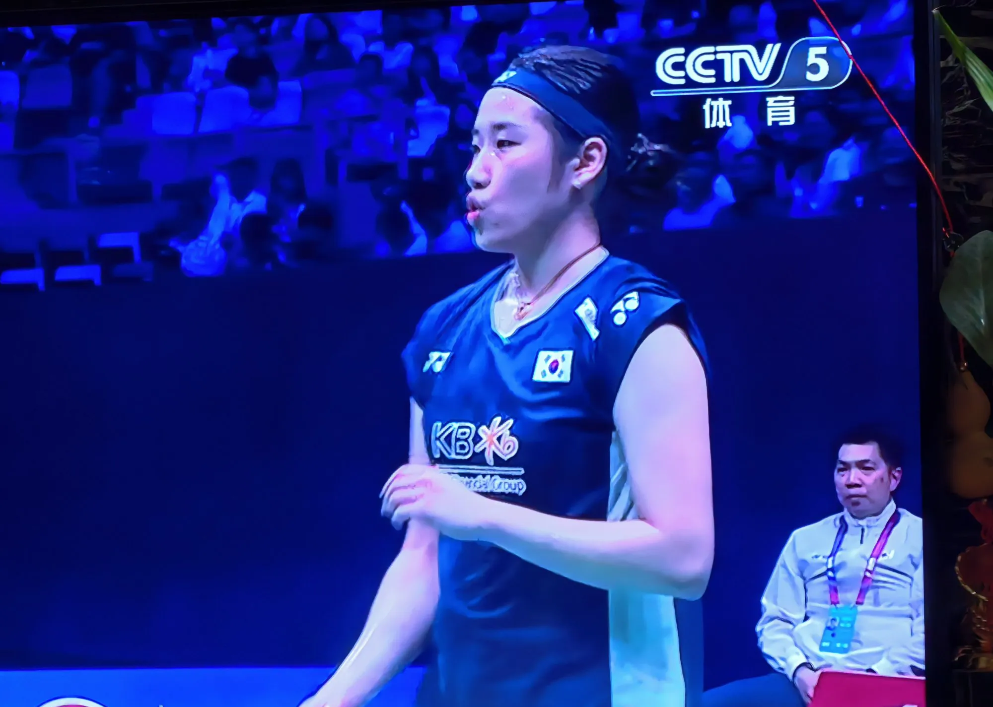 连丢两局无缘冠军！日本公开赛王祉怡获亚军，安洗莹夺赛季第6冠的简单介绍