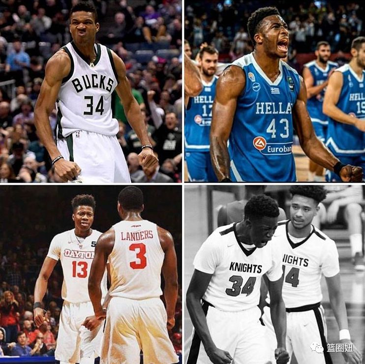 希腊公布欧锦赛19人集训名单：字母哥与弟弟科斯塔斯领衔的简单介绍