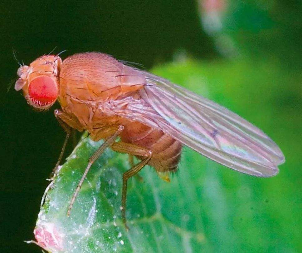 为什么没有有一个人敢上去开团啊？全是蛆吗都在后面看？的简单介绍