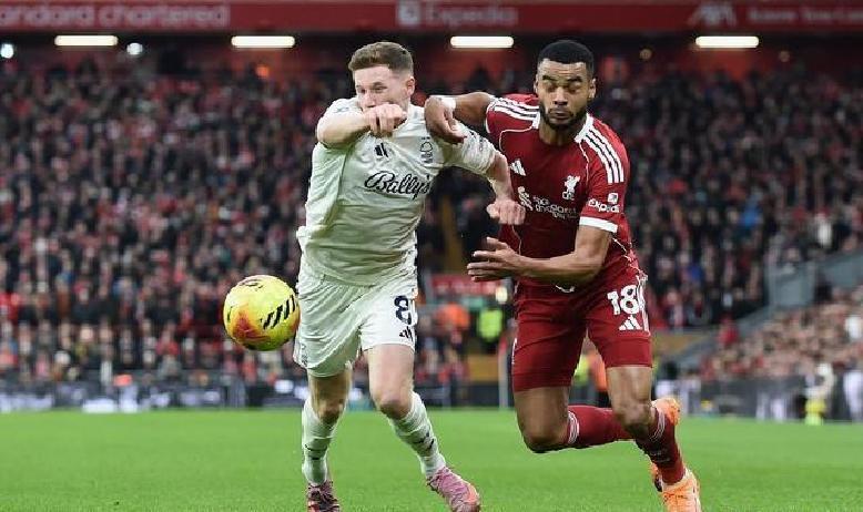 AC米兰2004-2005赛季欧冠半决赛胜埃因霍温，决赛负利物浦【AC米兰资料】【足球资料】的简单介绍