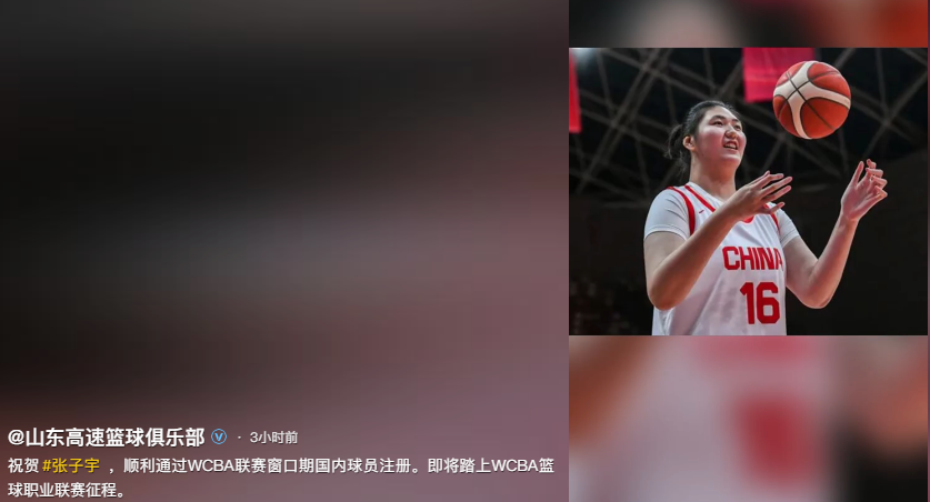 无解！张子宇10分钟砍12分“双塔”组合轮番制霸内线的简单介绍