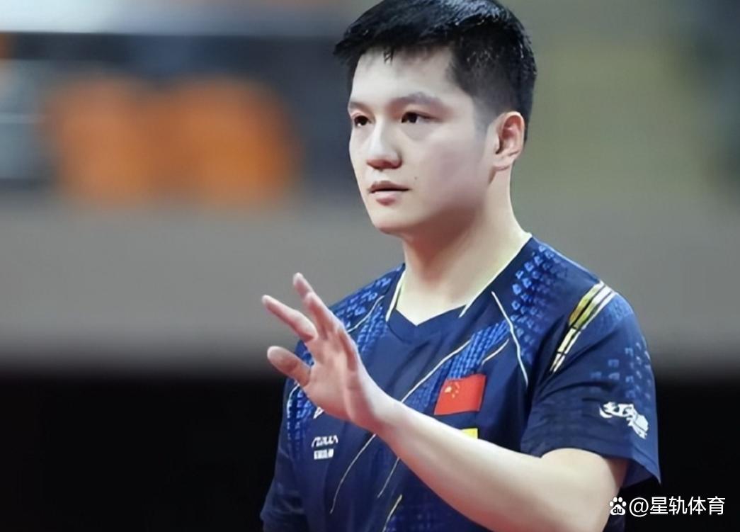 樊振东谈德甲联赛：水平非常高，能感受到人们对于选手的尊重的简单介绍