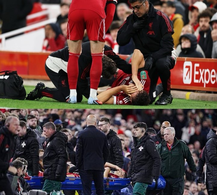 包含利物浦挑战富勒姆：卫冕冠军能否延续不败势头？的词条